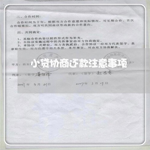 小贷协商还款注意事项/2023092382948