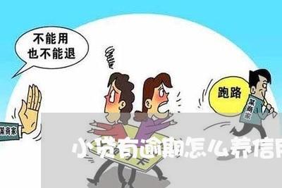 小贷有逾期怎么养信用卡/2023052696148