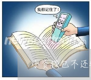 小资钱包不还钱/2024010216959