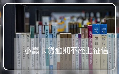 小赢卡贷逾期不还上征信/2023062295717