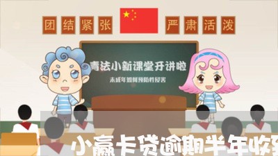 小赢卡贷逾期半年收到短信/2023052620794