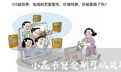 小赢卡贷逾期可以延期吗/2023062272816