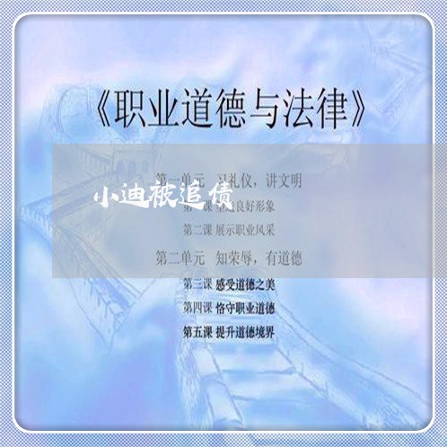 小迪被追债/2023121742684