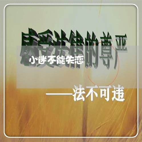 小迷不能失恋/2023120708482