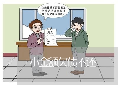 小金额欠债不还/2023111131505