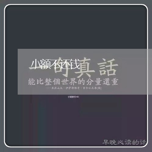 小额不还钱/2023121621683