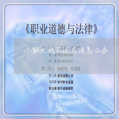 小额欠钱不还应该怎么办/2023110828269