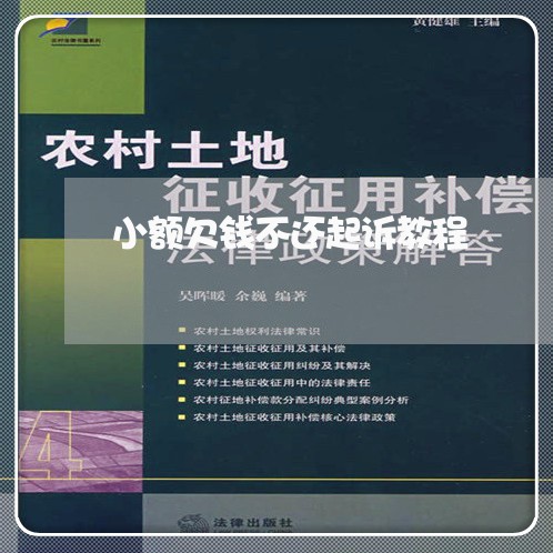 小额欠钱不还起诉教程/2023101639260