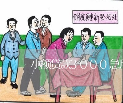 小额贷款3000急用/2023032895946