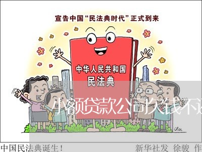 小额贷款公司欠钱不还咋办/2023091500693