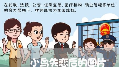 小鸟失恋后的图片/2023110141895