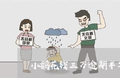 小鹅花钱三万逾期半年/2023072303704