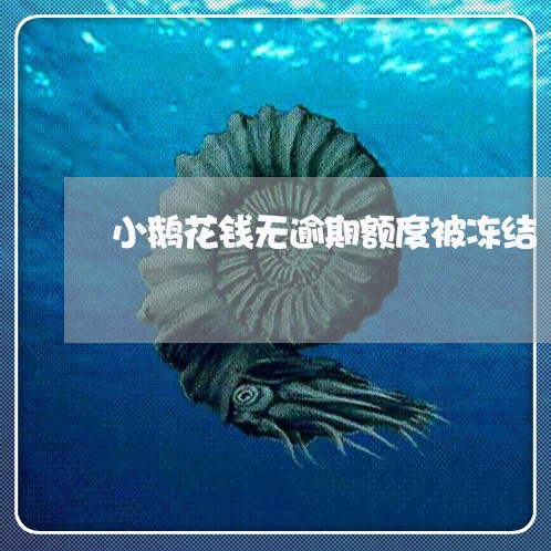 小鹅花钱无逾期额度被冻结/2023052740693