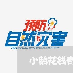 小鹅花钱有逾期/2023081509359