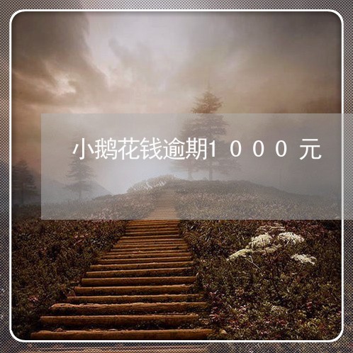 小鹅花钱逾期1000元/2023081597138