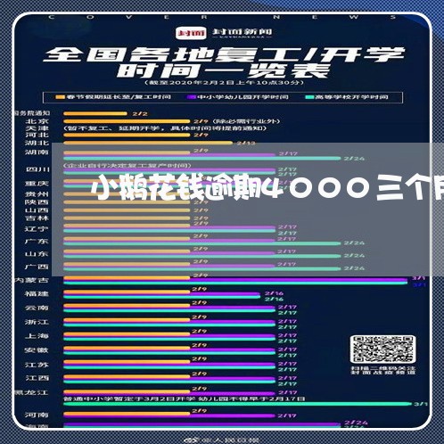 小鹅花钱逾期4000三个月/2023053087371