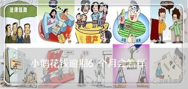 小鹅花钱逾期6个月会怎样/2023052683816