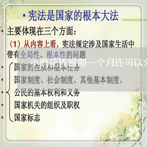 小鹅花钱逾期一个月还可以分期吗/2023053136148