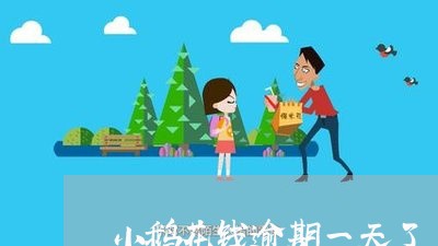 小鹅花钱逾期一天了/2023060987168