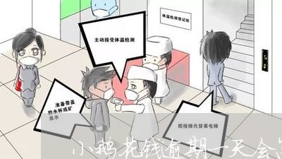 小鹅花钱逾期一天会怎样/2023062493705