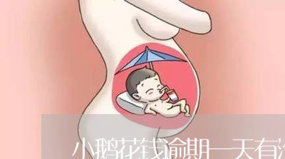 小鹅花钱逾期一天有没有事/2023071405938