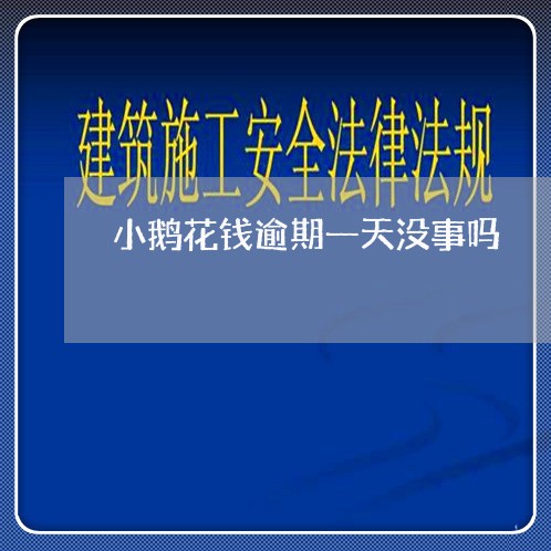 小鹅花钱逾期一天没事吗/2023081559794