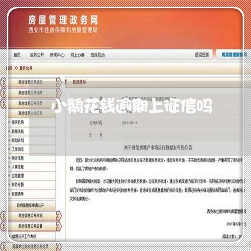 小鹅花钱逾期上征信吗/2023081539460