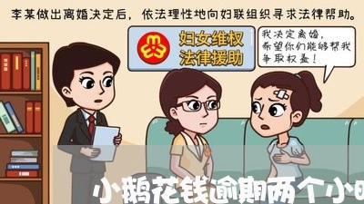 小鹅花钱逾期两个小时/2023081561584