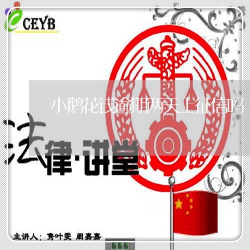 小鹅花钱逾期两天上征信吗/2023052155857