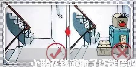 小鹅花钱逾期了还能借吗/2023072420604