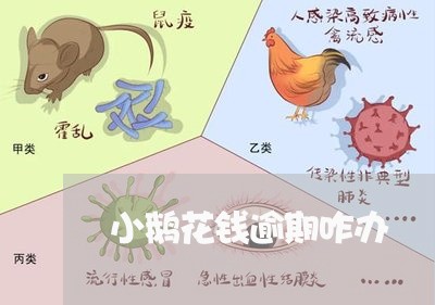 小鹅花钱逾期咋办/2023081516058