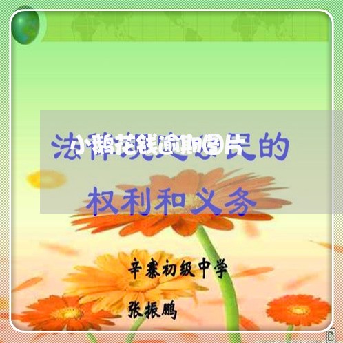 小鹅花钱逾期图片/2023081503859