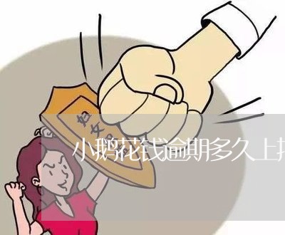 小鹅花钱逾期多久上报征信/2023081517137