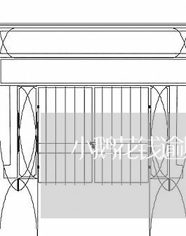 小鹅花钱逾期多久变老赖/2023081598310