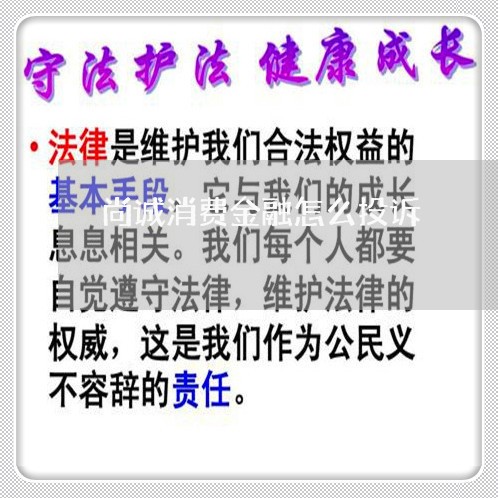 尚诚消费金融怎么投诉/2023030606250