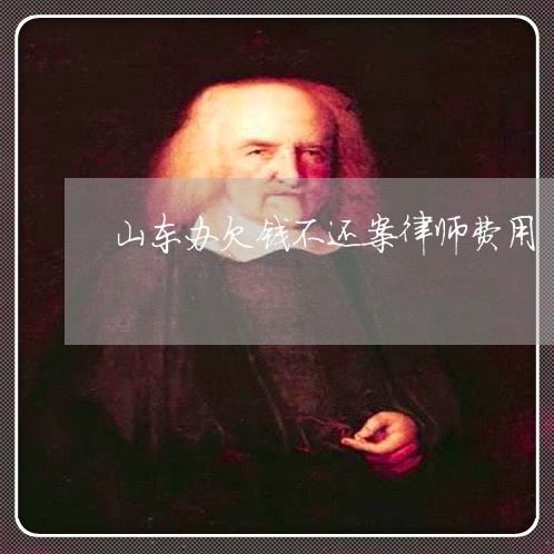 山东办欠钱不还案律师费用/2023092747260