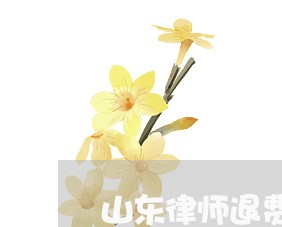 山东律师退费流程图/2023052736258