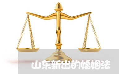 山东新出的婚姻法/2023112418149