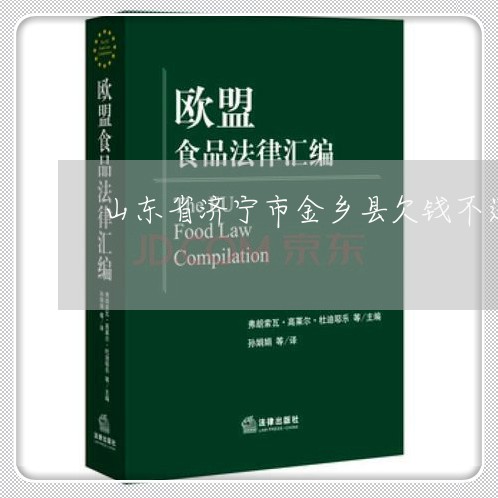 山东省济宁市金乡县欠钱不还找谁/2023110911592