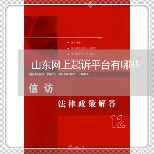 山东网上起诉平台有哪些/2023040249372