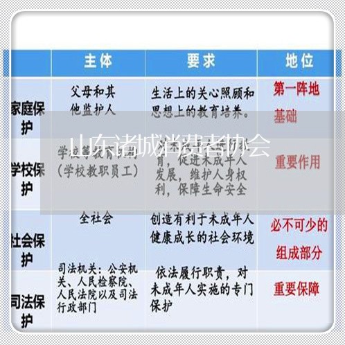 山东诸城消费者协会/2023060899684