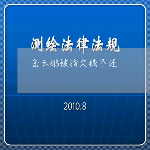 岳云鹏被指欠钱不还/2023112652693