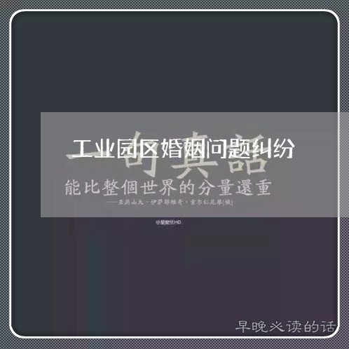 工业园区婚姻问题纠纷/2023081287120