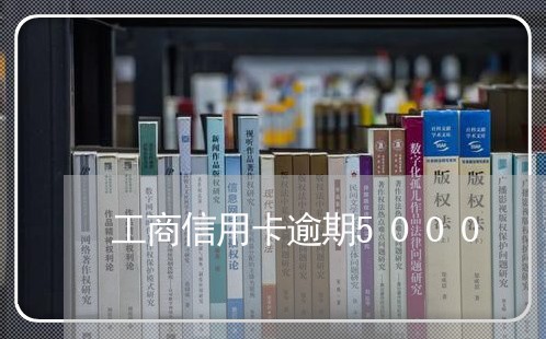 工商信用卡逾期5000/2023051071584