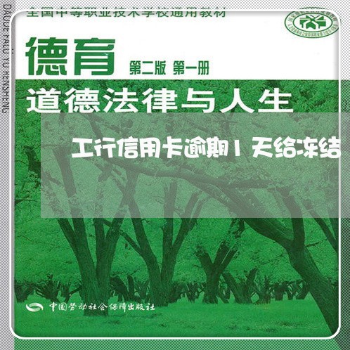 工行信用卡逾期1天给冻结/2023121739171