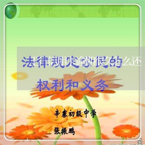 工行信用卡逾期很久怎么还/2023070819473