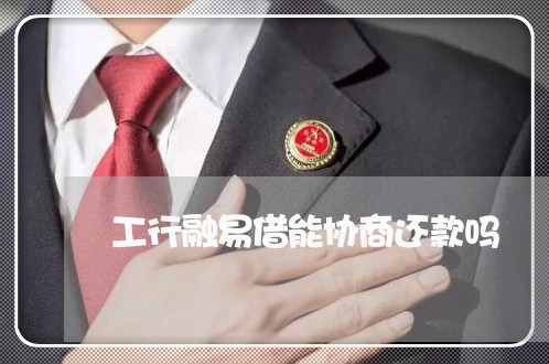 工行融易借能协商还款吗/2023100673238