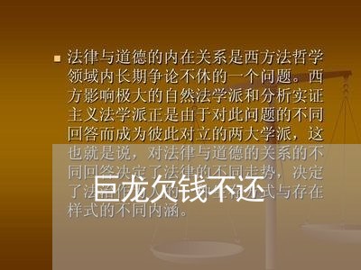 巨龙欠钱不还/2023111130179