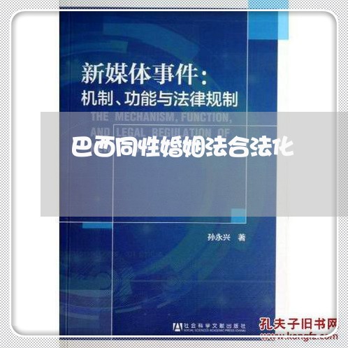 巴西同性婚姻法合法化/2023112429414