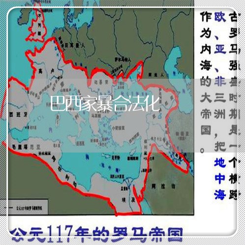 巴西家暴合法化/2023090811794